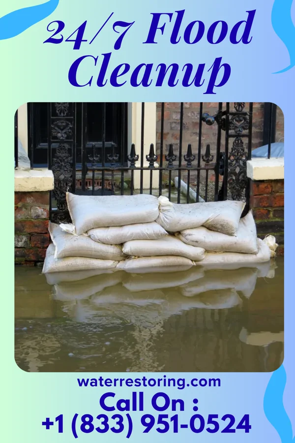 24/7 Flood Cleanup in Ripley, IL